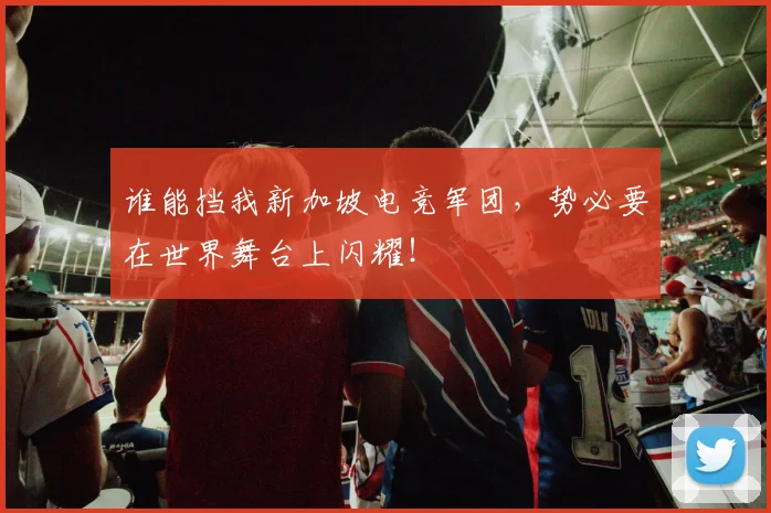 谁能挡我新加坡电竞军团，势必要在世界舞台上闪耀！